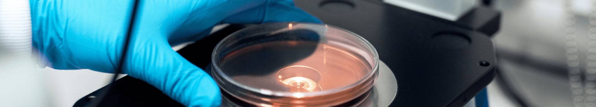 Znanstveni savjet slika