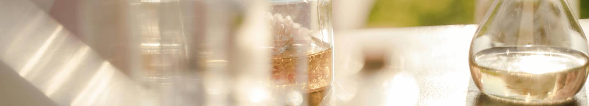 Nacionalni referentni laboratoriji slika