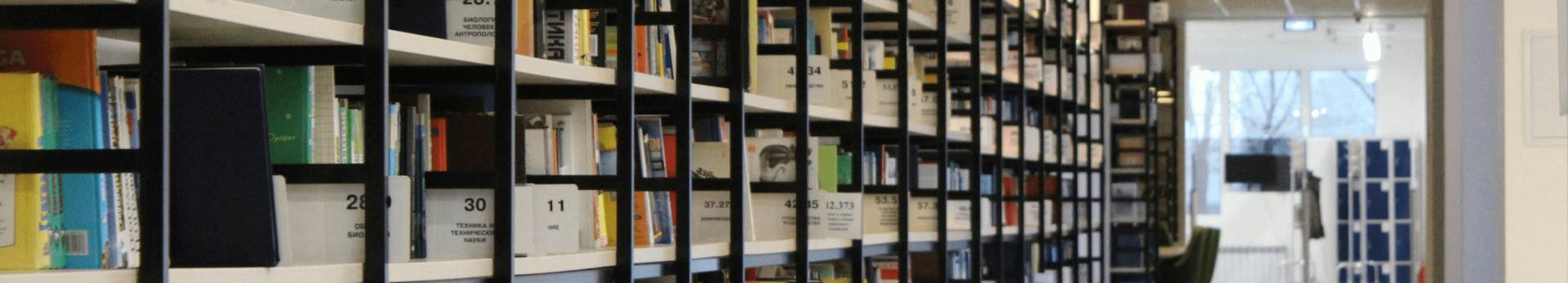 Godišnja izvješća slika